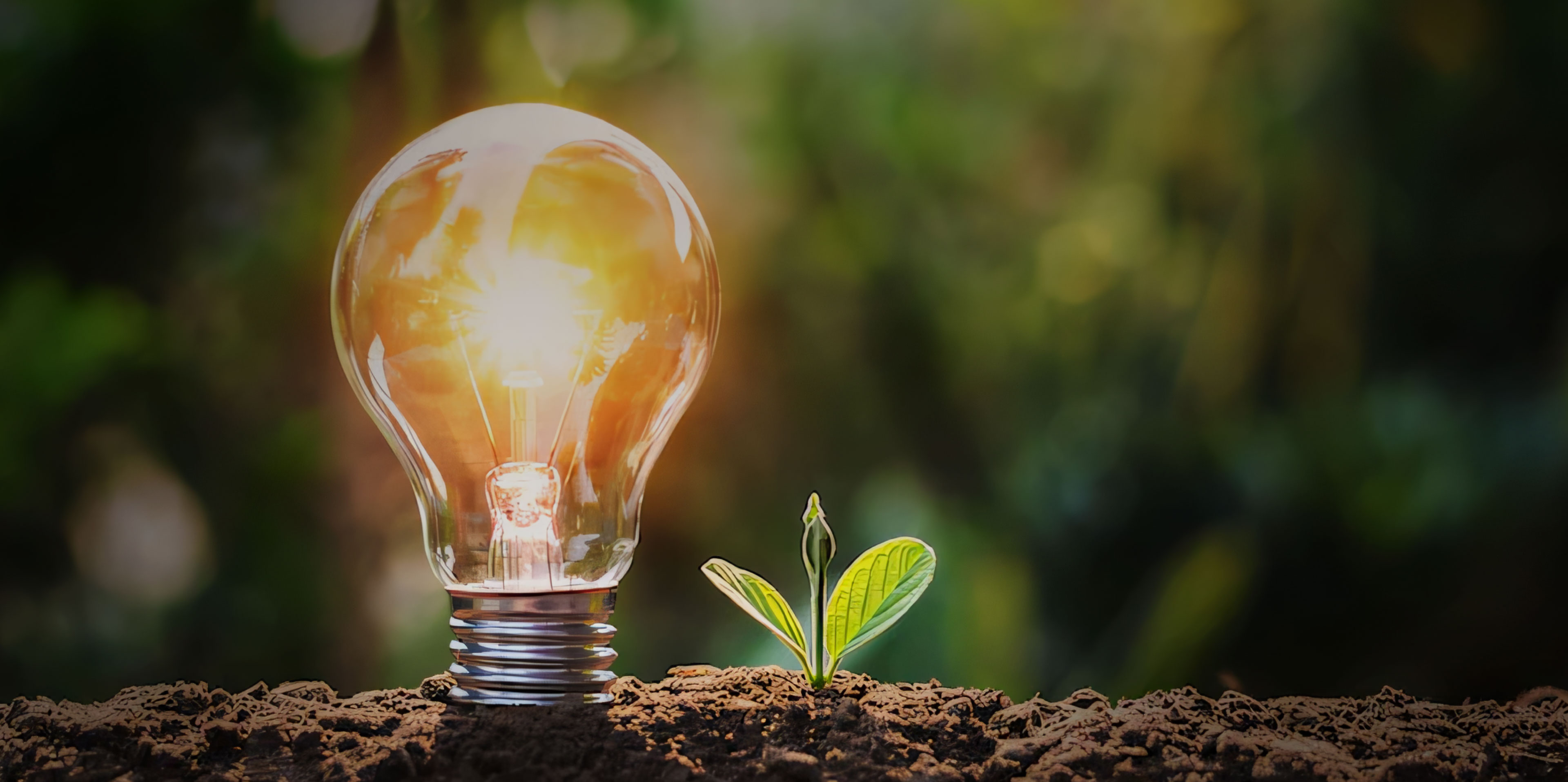 Sustainability And Environment Consciousness